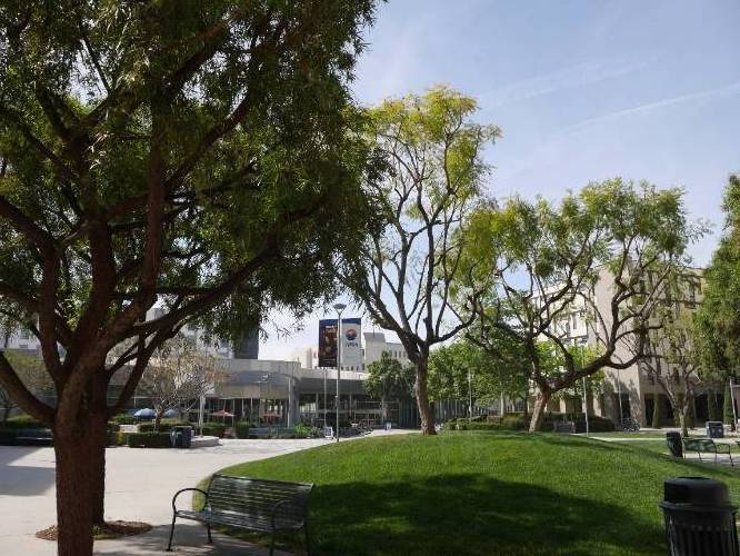 Housing Piazza