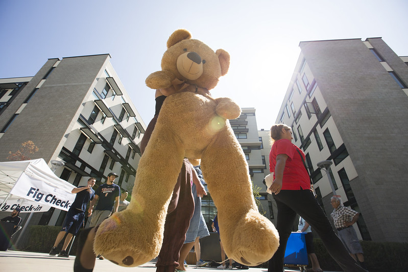 Teddy Bear