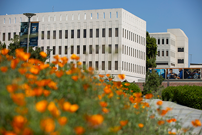 College of Engineering & Computer Science