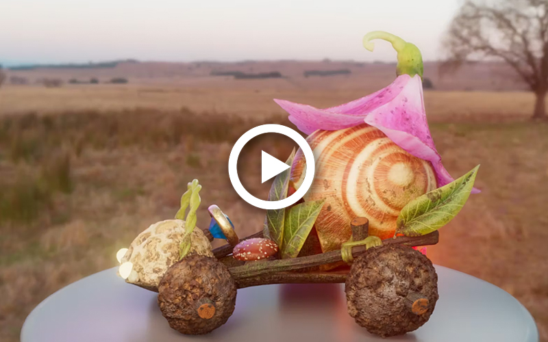 Fanciful car designed with natural objects.