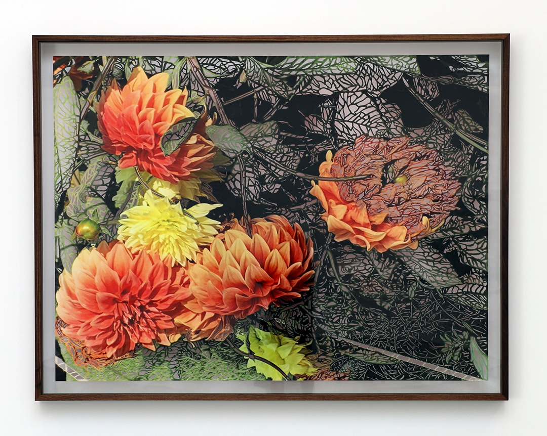 Hand cut photos on glass.
