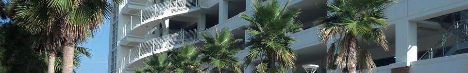 Page banner, decorative page element