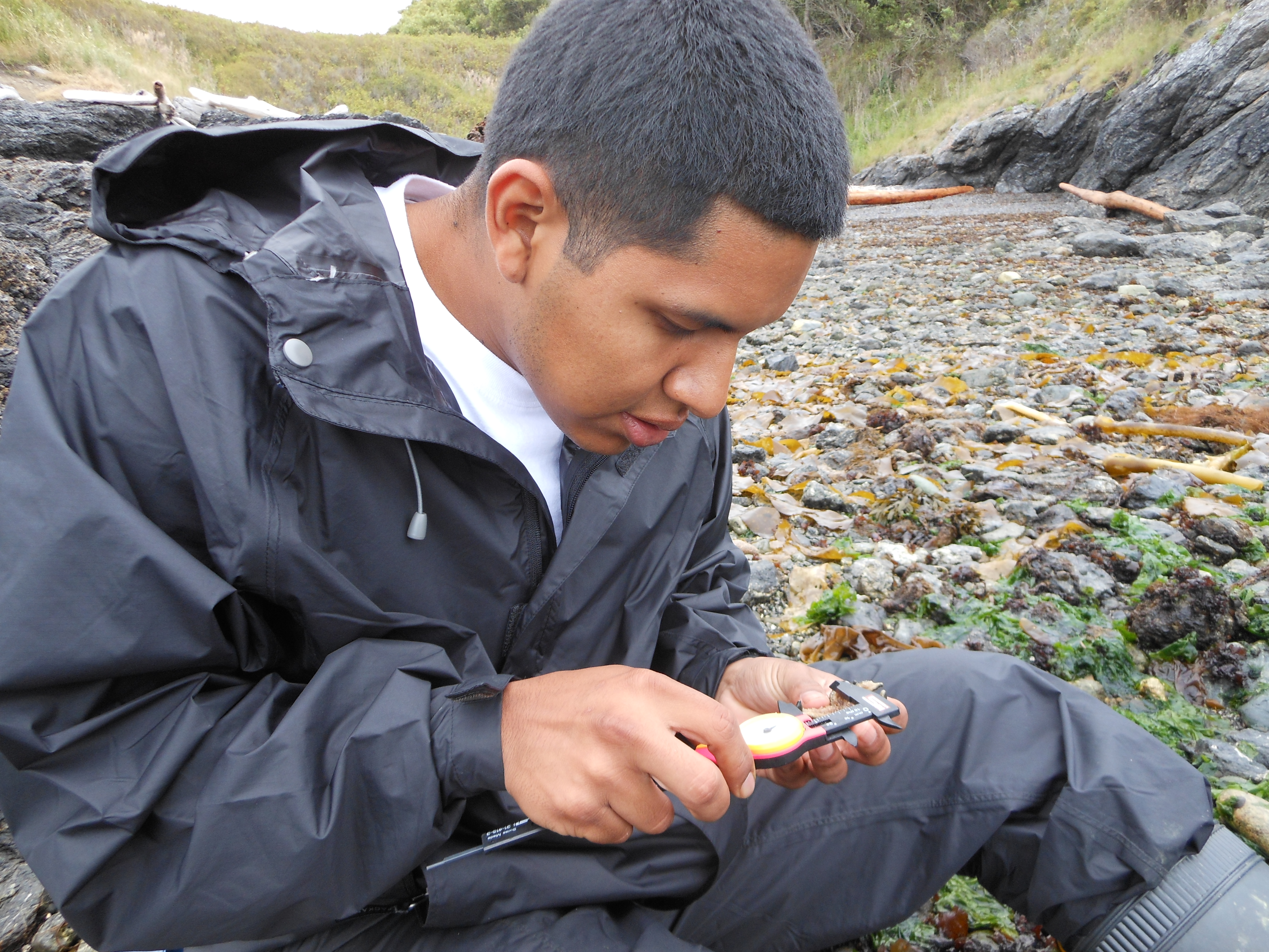 Students in the field doing research