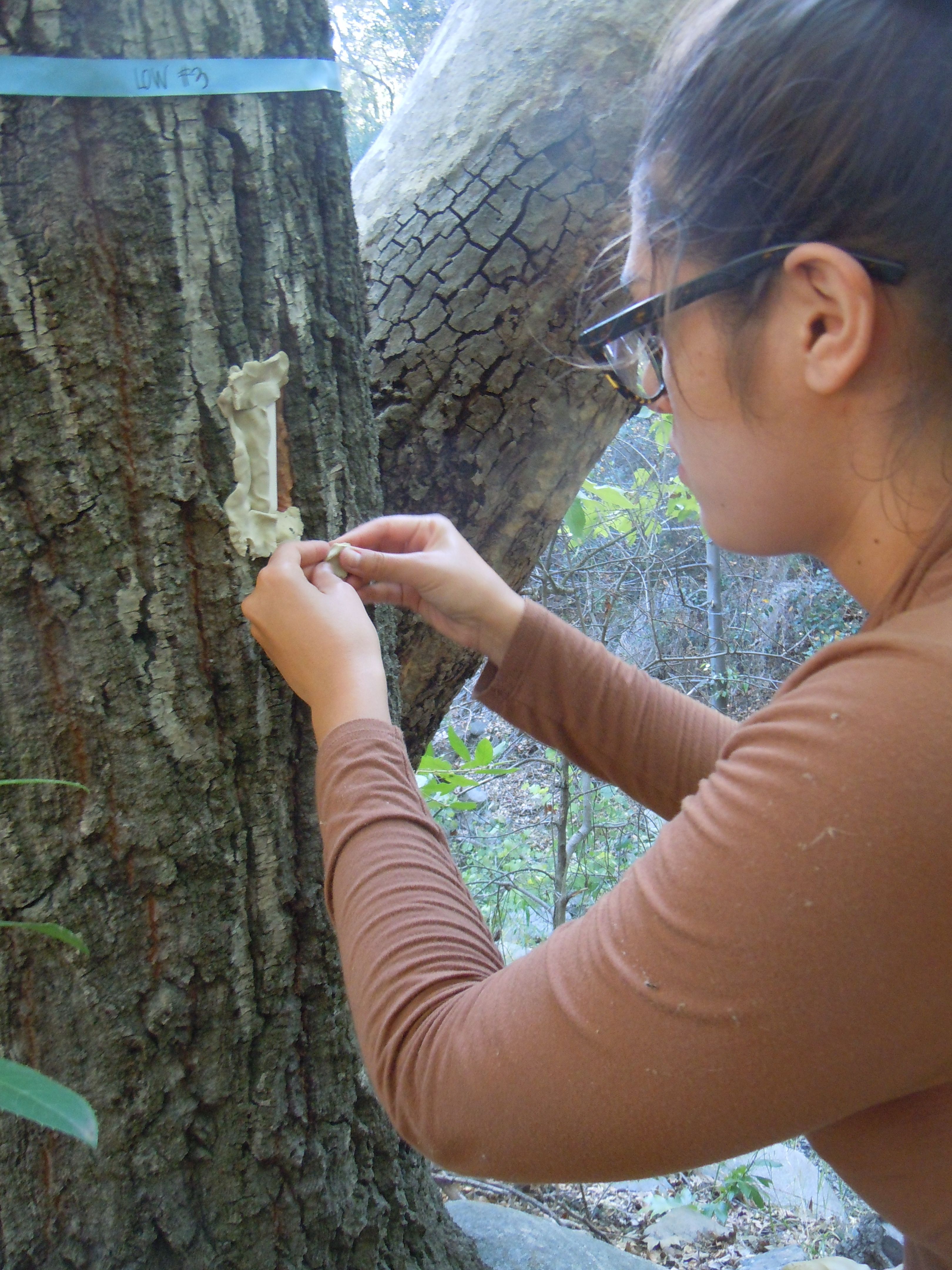 Student conducting research in the field