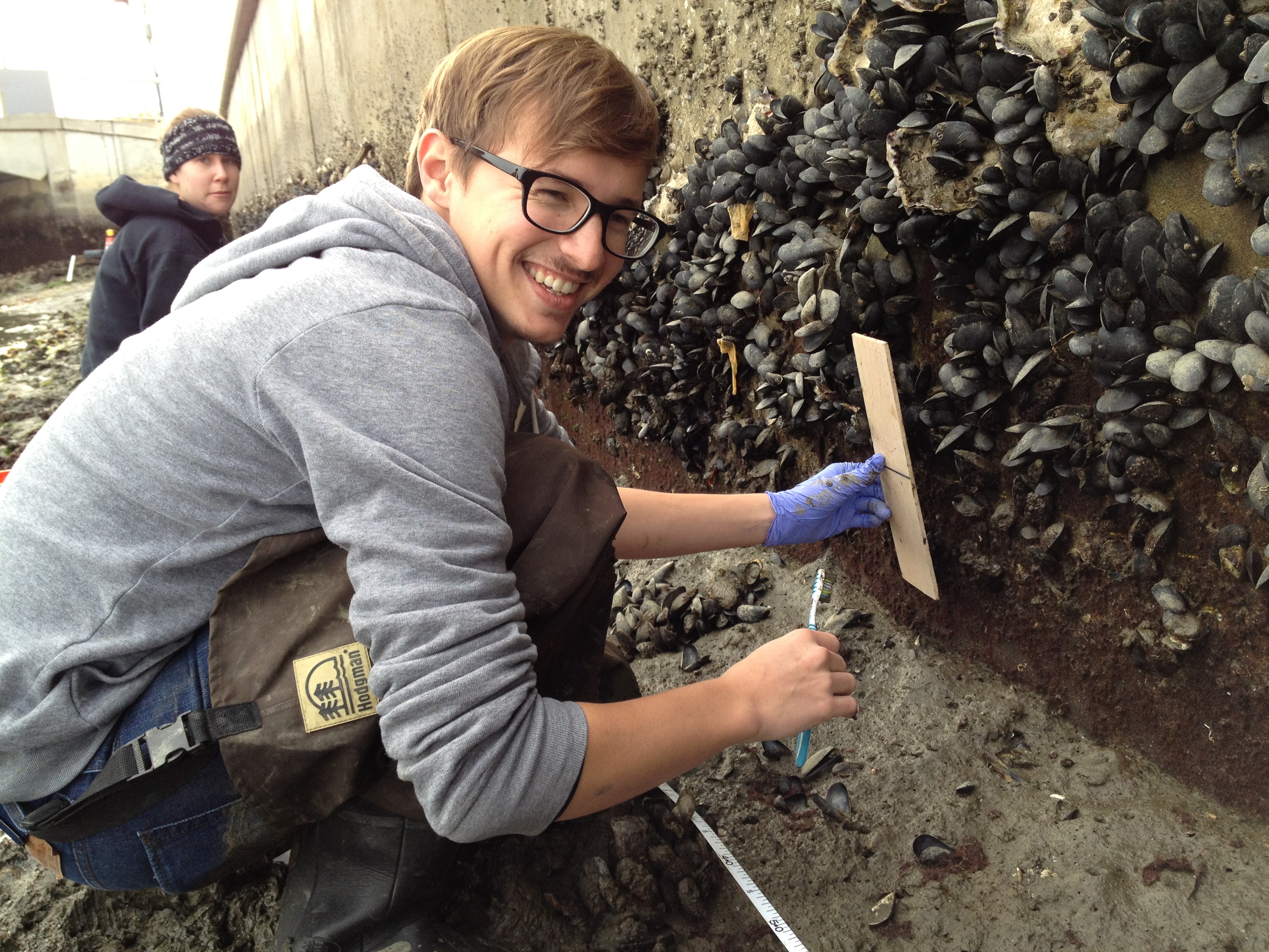 Thomas Parker in the field working with Olympia oysters