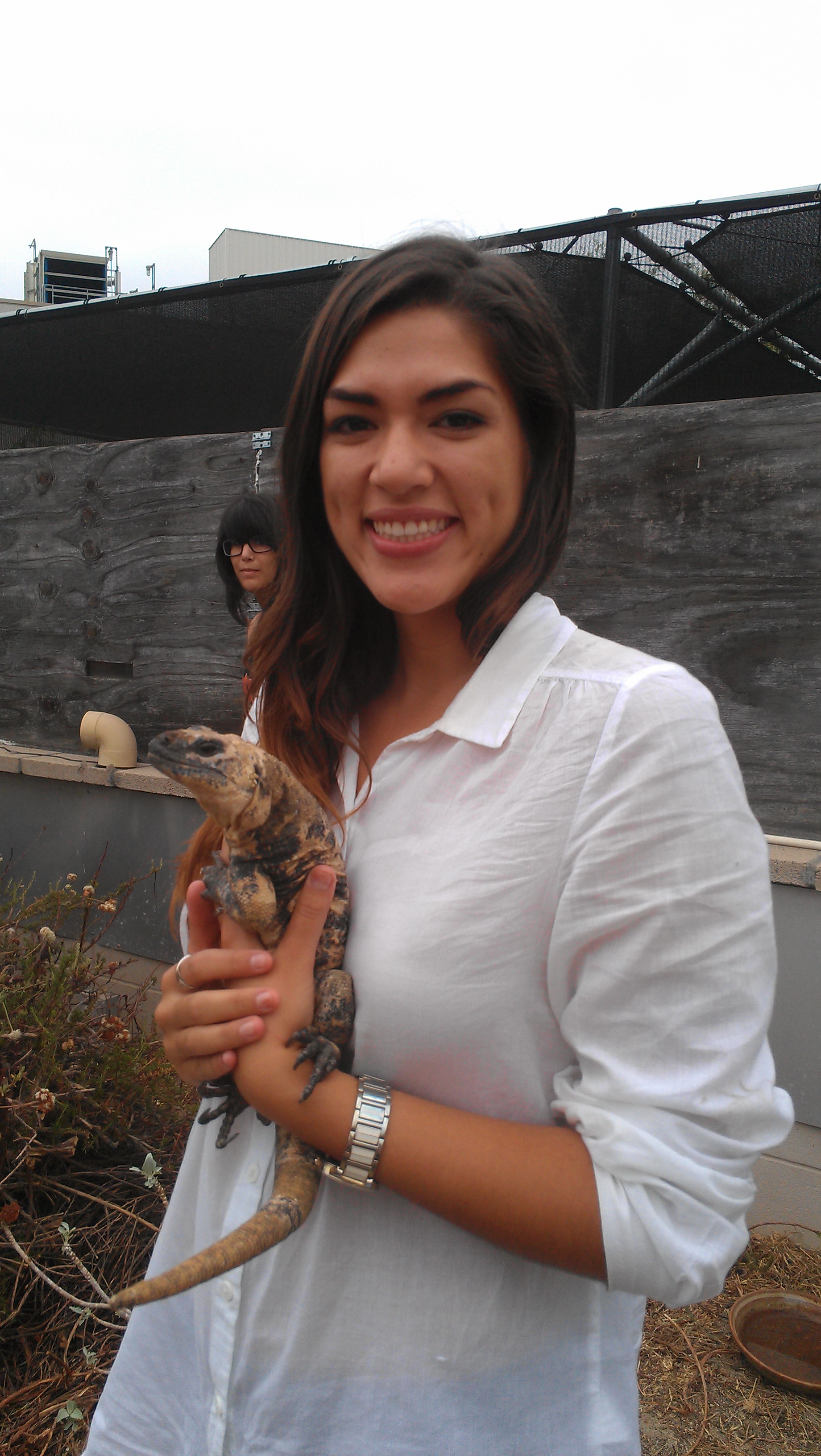 Alexis Bueno Correa holding a chuckwalla