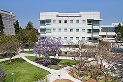 University Hall