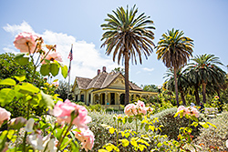 Fullerton Arboretum