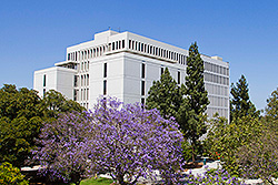 Humanities-Social Sciences