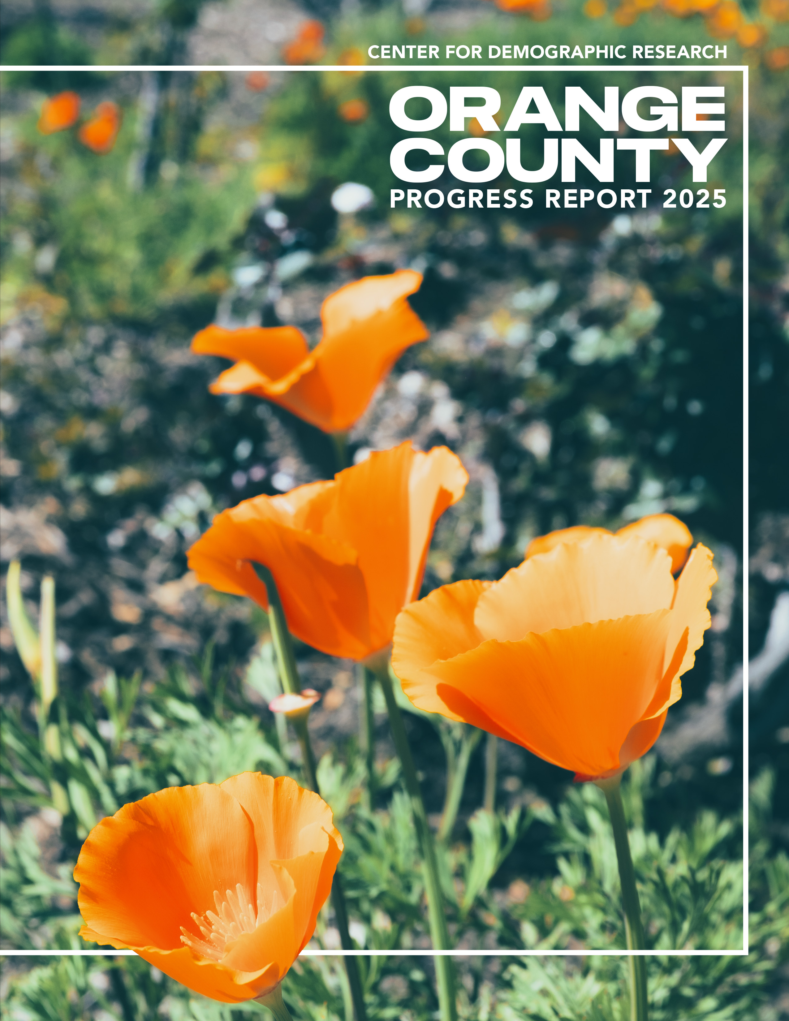 2024 Orange County Progress Report