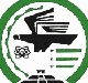 MAES Logo