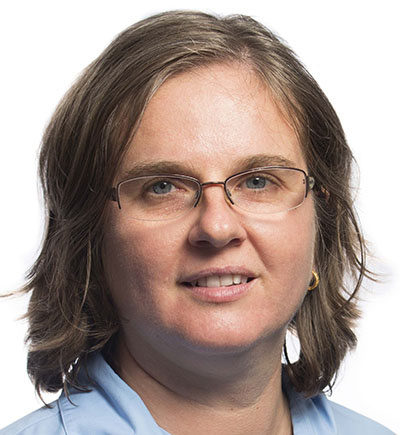 department chair doina bein