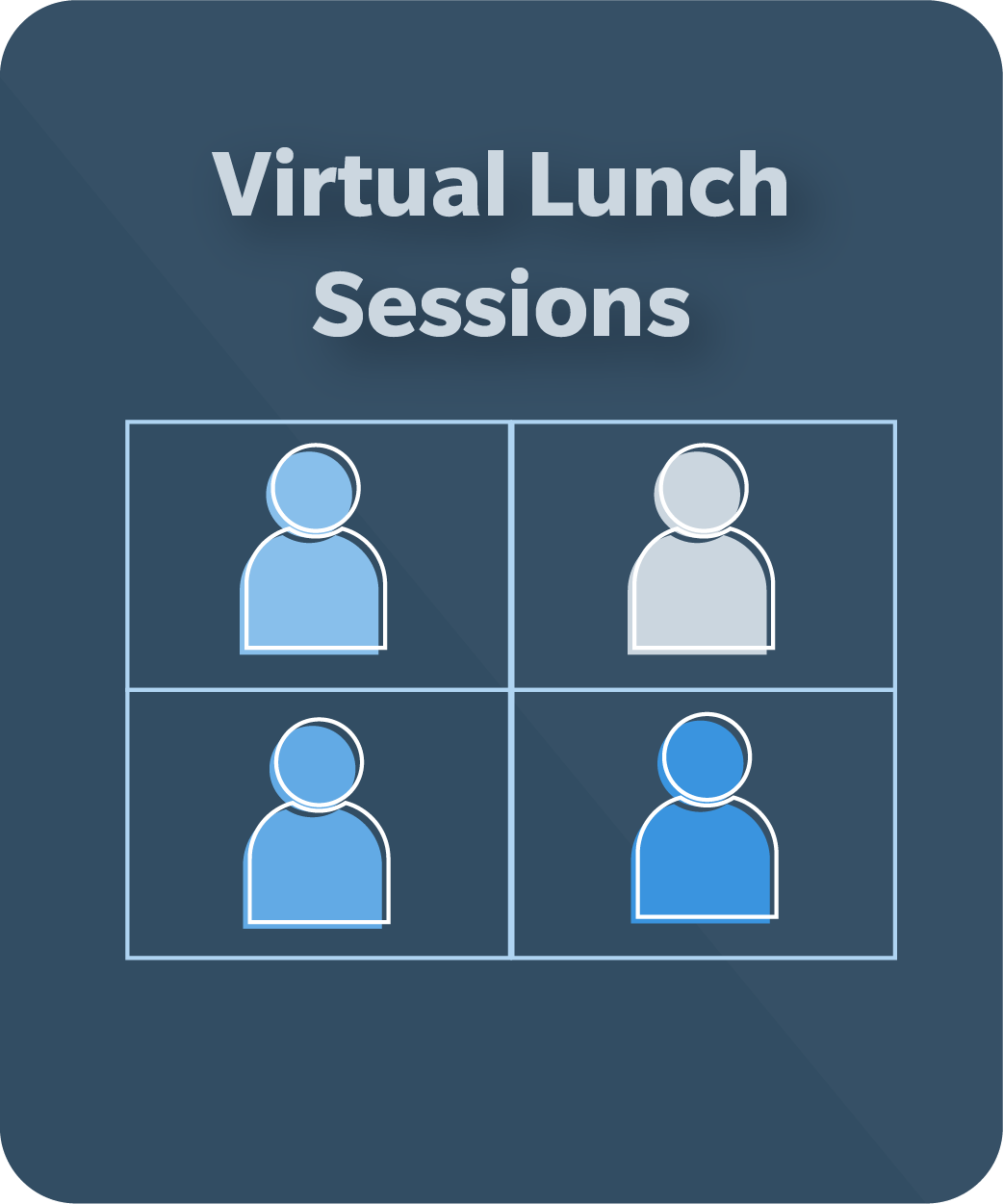 Virtual Lunch Sessions, Zoom icons