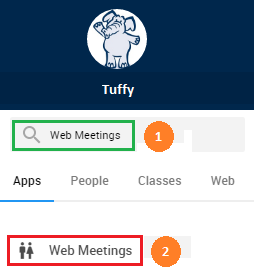 Web Meetings Icon
