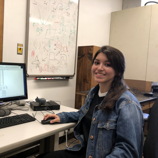 Danielle Torres running a specialized chemstry modeling software.
