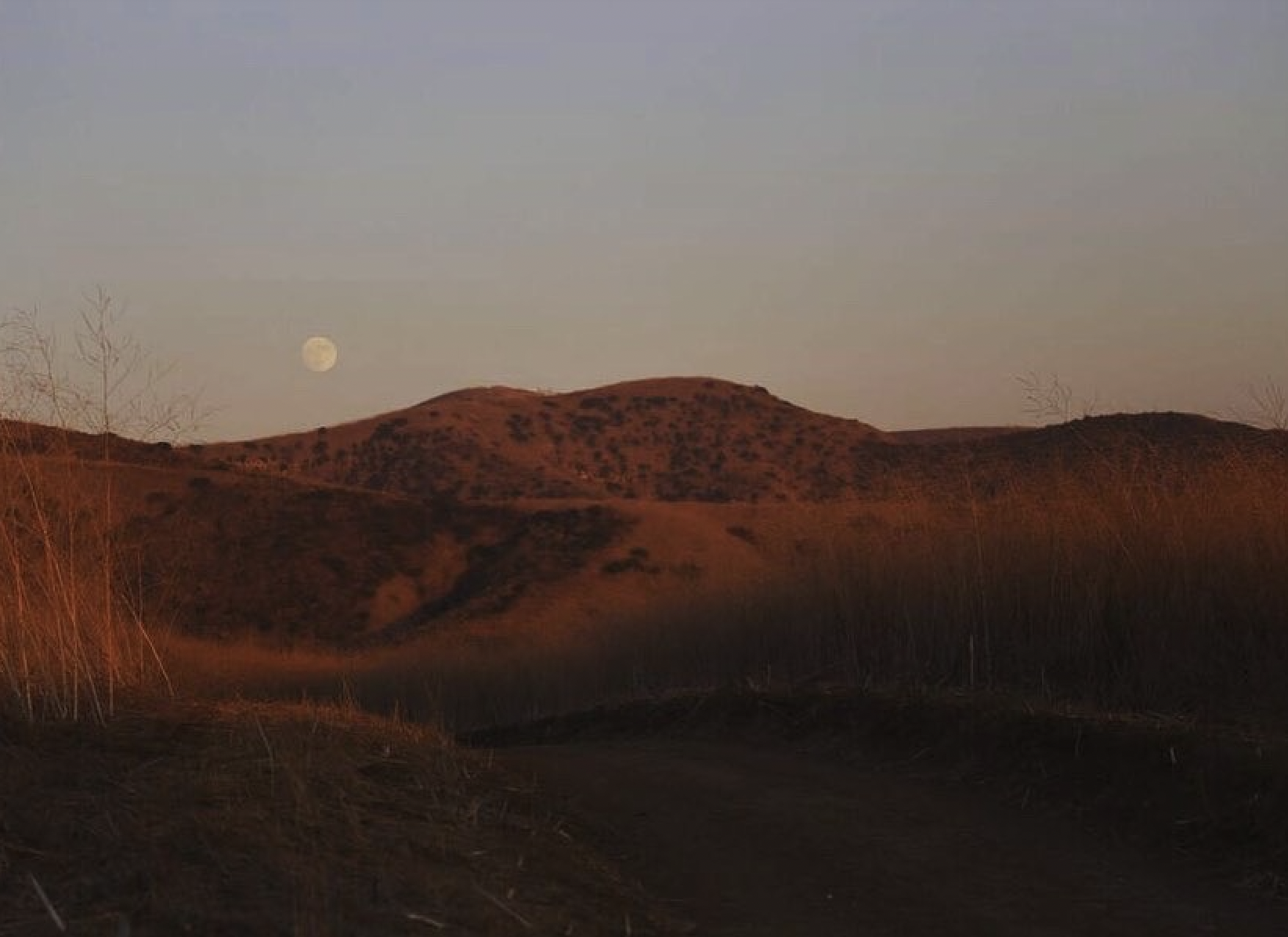 Moon rising over Chino Hills State Park