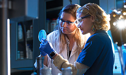 Chemistry professor and student examining chemical solution in lab