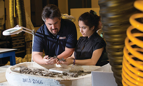 Geology professor and student examining fossils