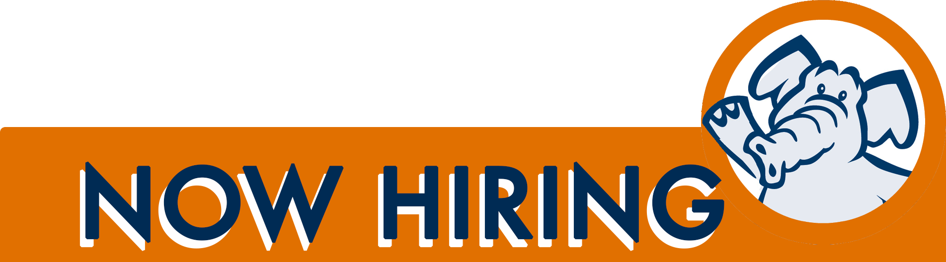 Work Project RAISE CSUF