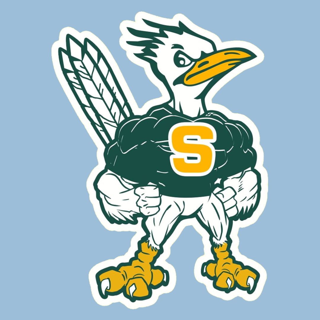 Saddleback High School Logo