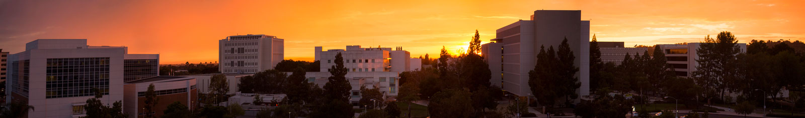 CSUF Sunset