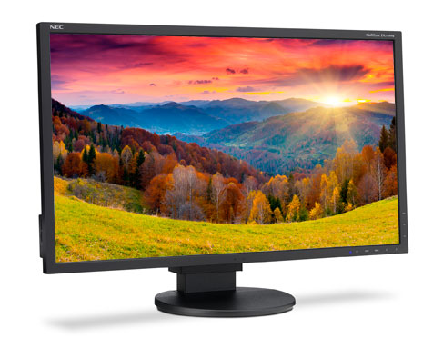 NEC Widescreen Desktop Monitor