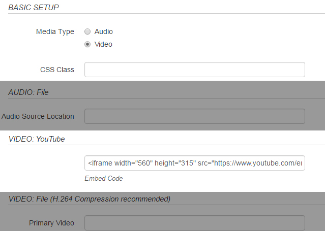 YouTube Embed Properties