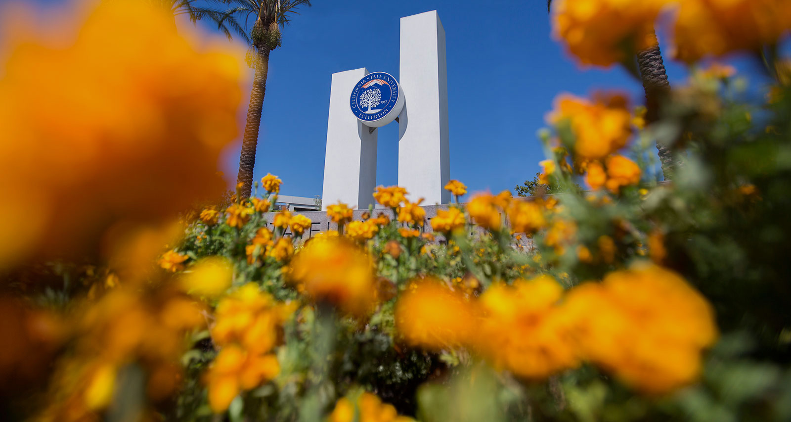 Achieve Greatness: California State University, Fullerton