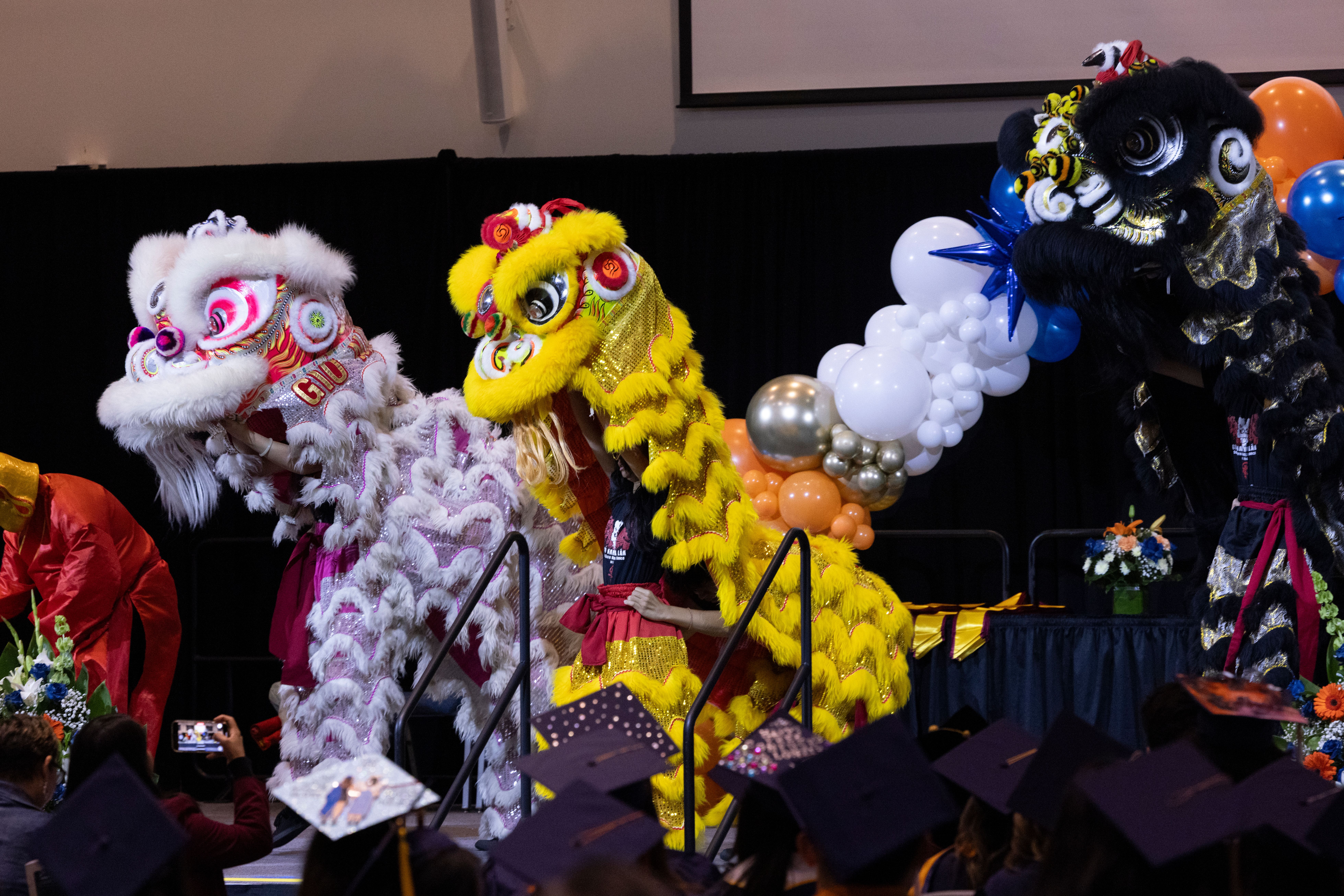 cultural performance