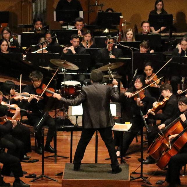 Conductor in front of a live orchestra.
