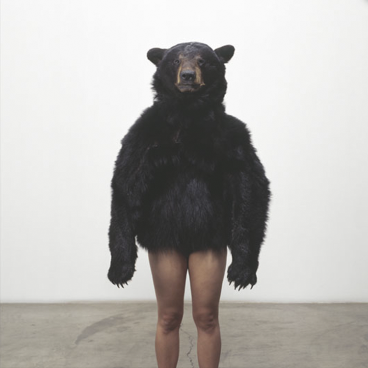 Carly Fernandes, 'Bear Studies'