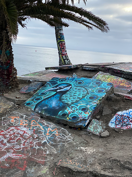 Grafitti art of a peacock on concrete slab near a beach