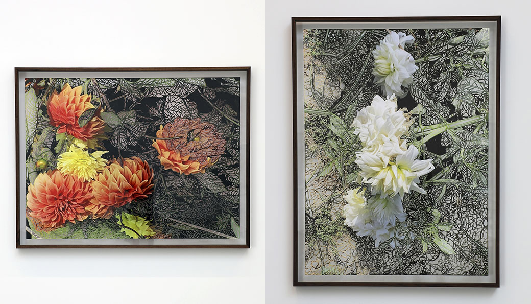 Two hand-cut photos of flowers.