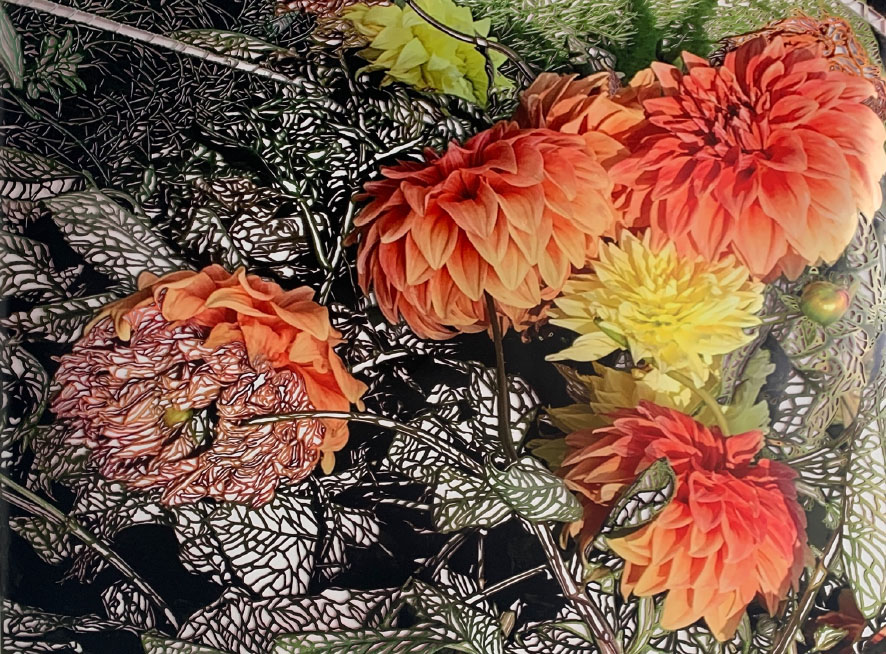 Orange and yellow dahlias with a black and white cutout pattern.