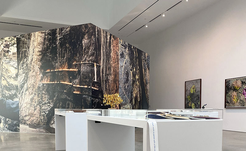 Artwork and ephemera in a gallery setting.