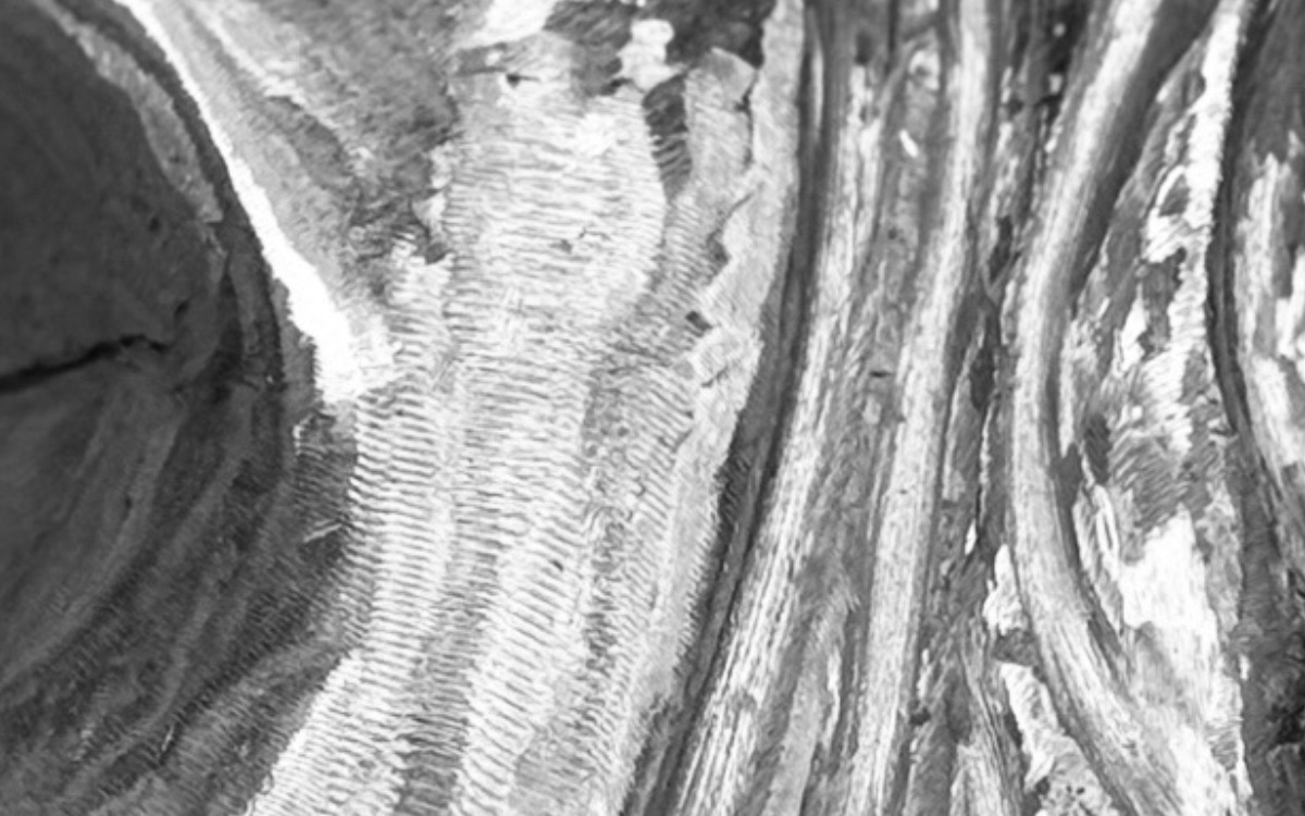 Grey and white abstract design. 