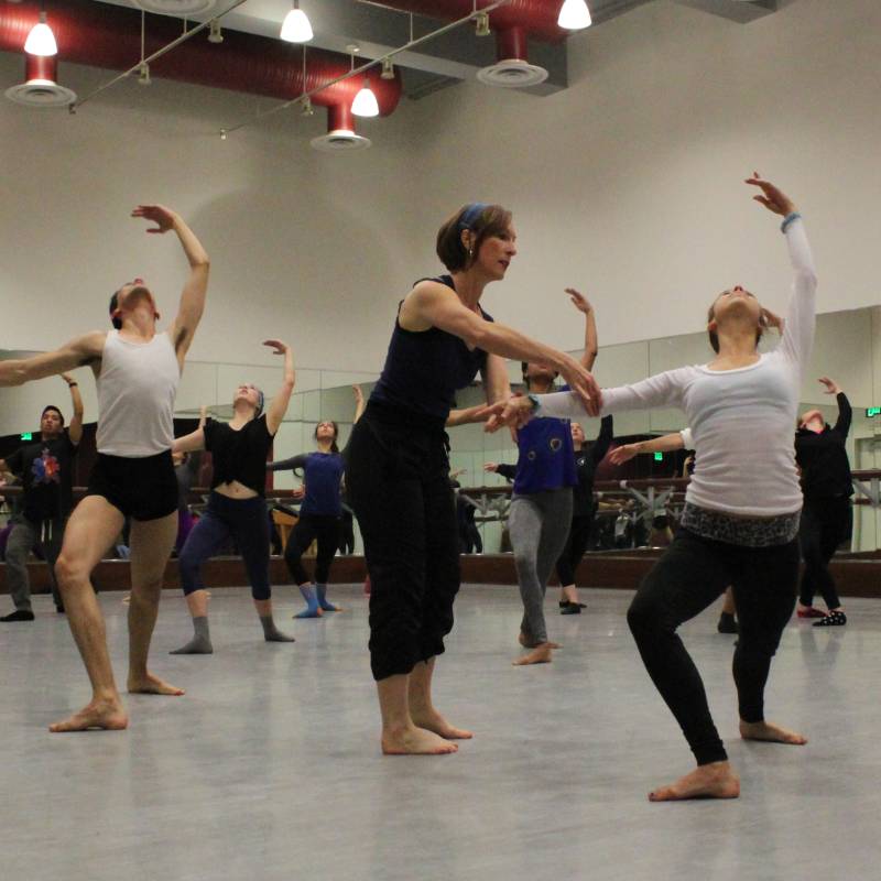 Faculty Lisa D. Long instructing students.