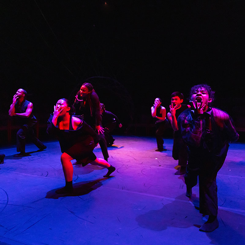 Group of dancers on stage.
