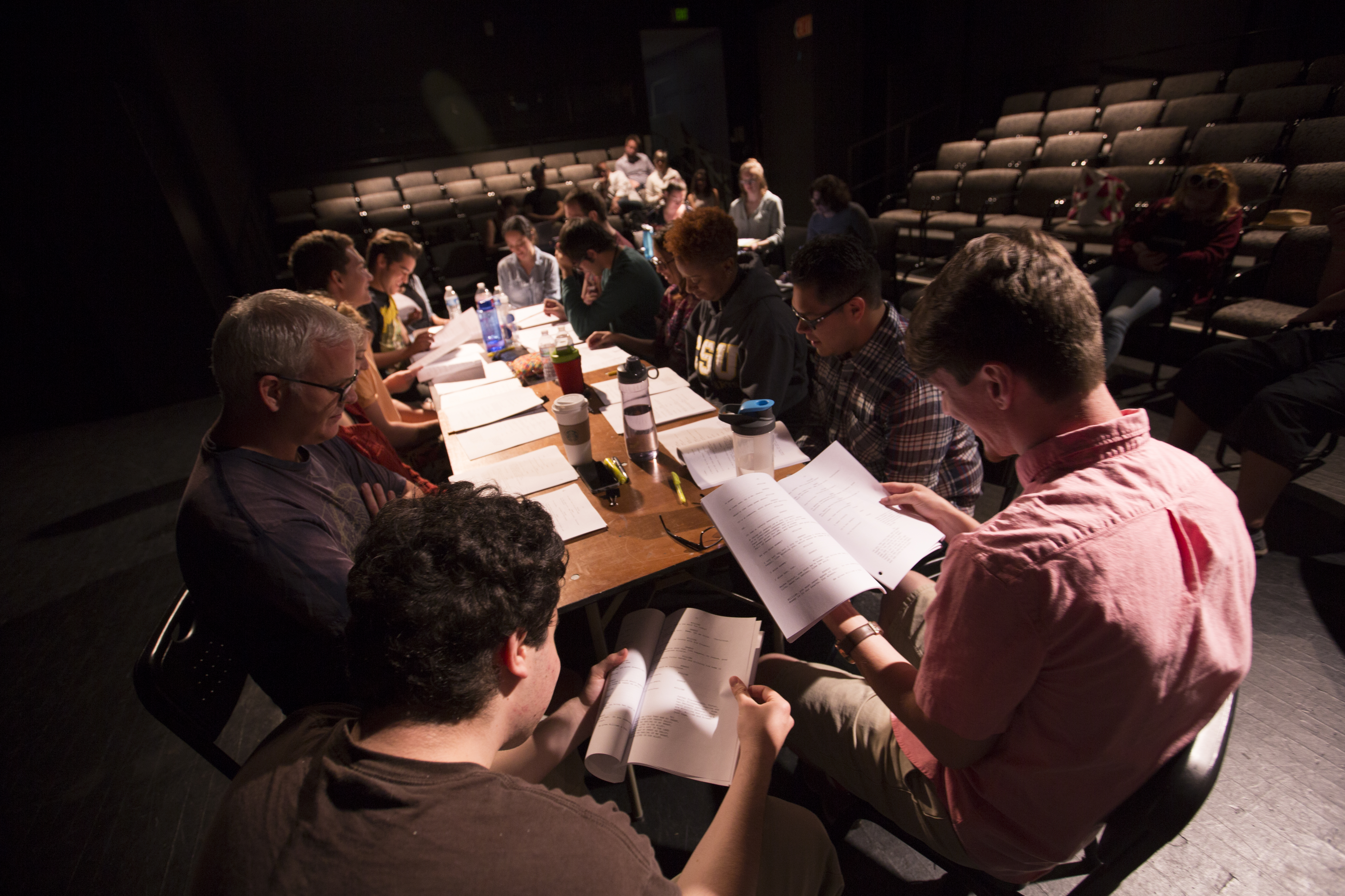 Master of Fine Arts in Theatre (Directing Concentration)