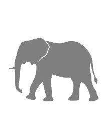 Profile of gray elephant on white background