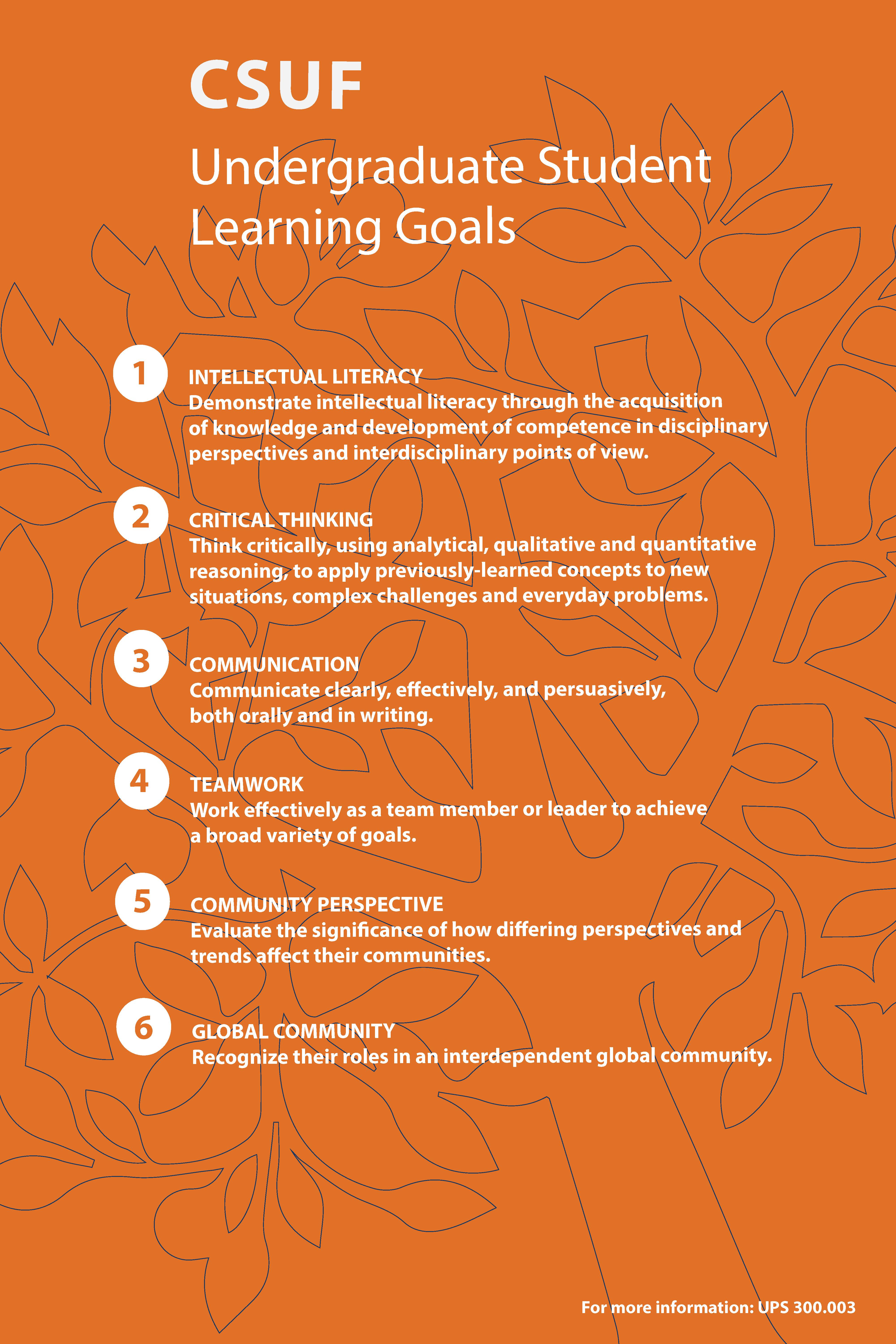Undergraduate Student Learning Goals