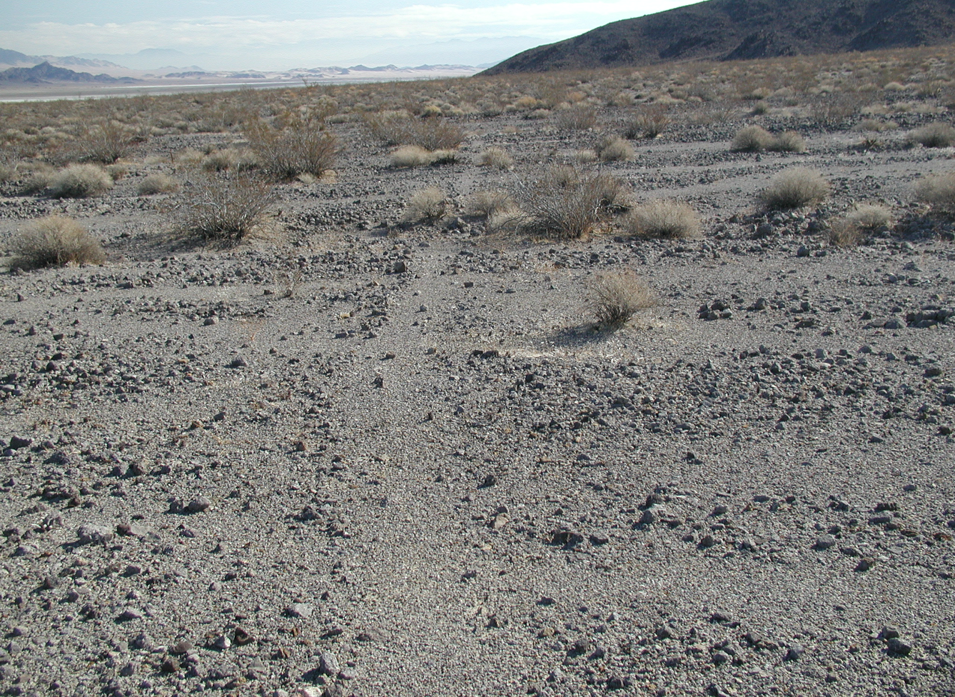 Mojave trade path