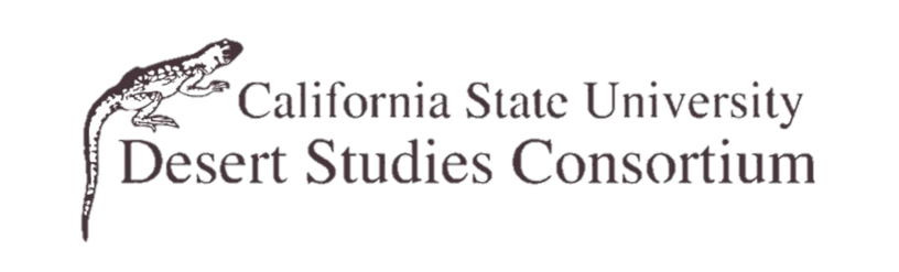 DSC Logo
