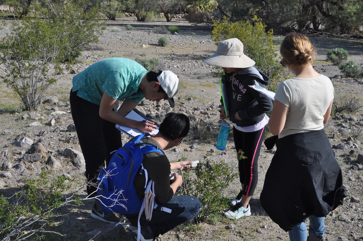 Students in the field