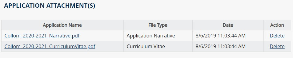 screen shot of final submission section of application