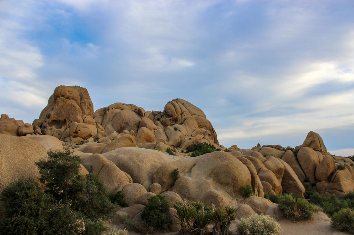 Boulders Trail in Joshua Tree