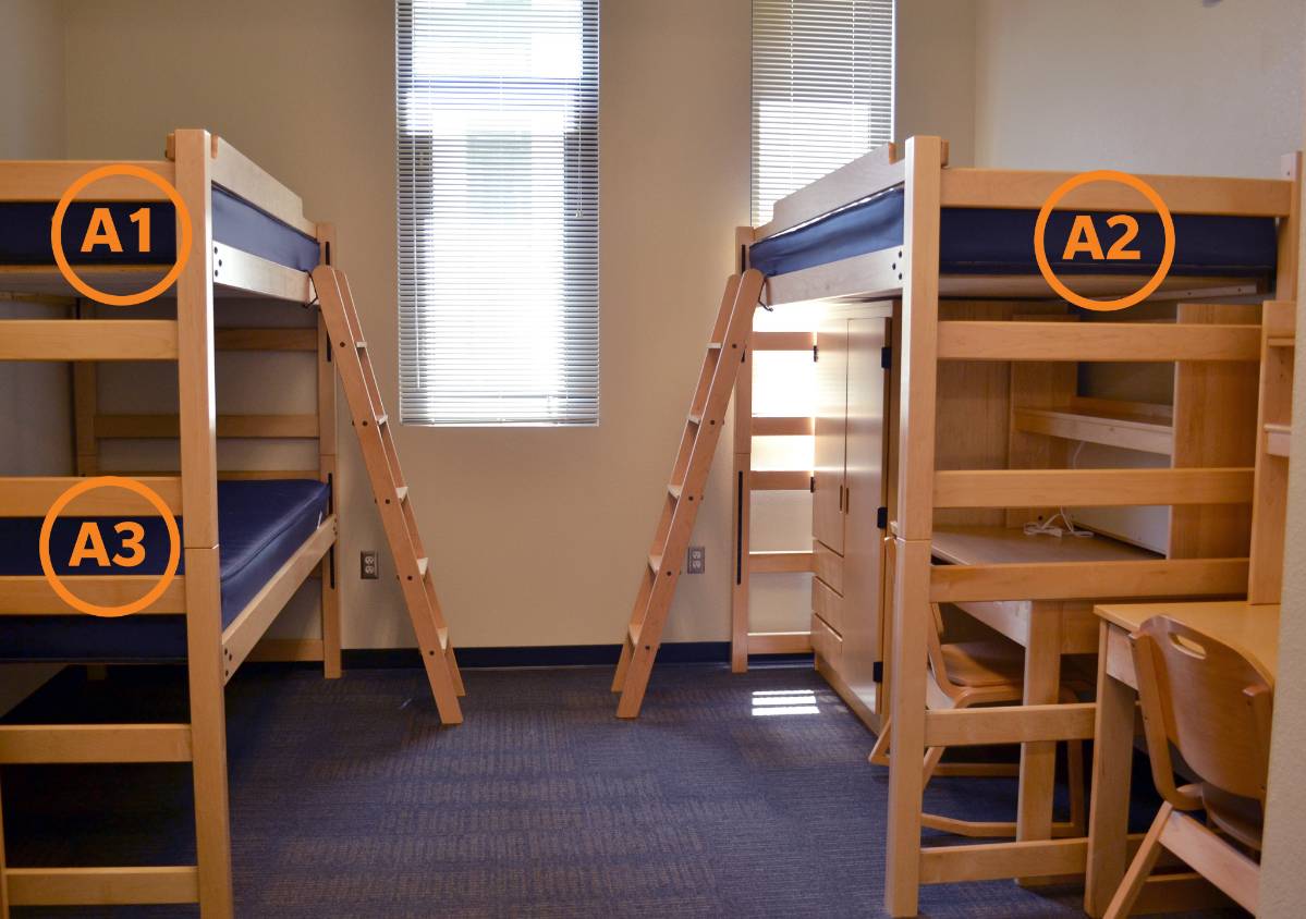 Move-In Day Resource Guide - Housing and Residential Engagement | CSUF