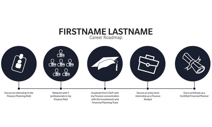 Career Roadmap Example