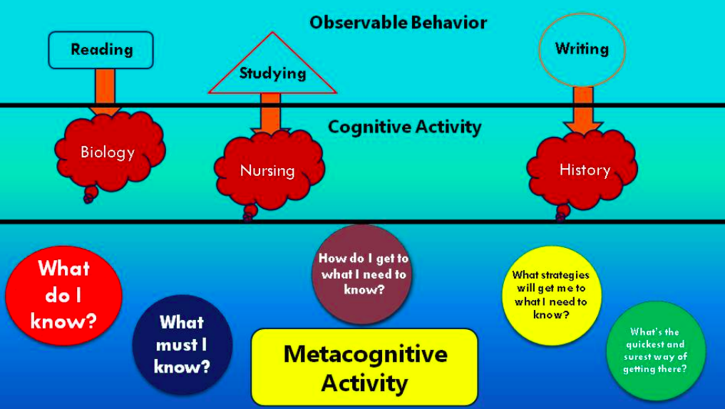 Observable behavior graphic