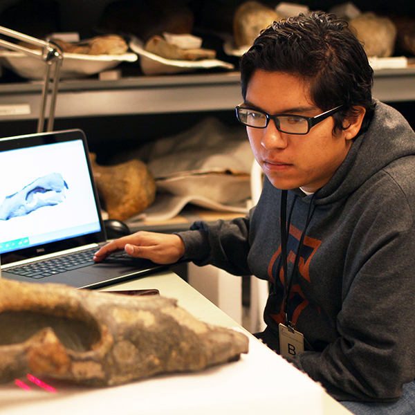 Isaac Magallanes Isaac Magallanes analysing a fossil scan